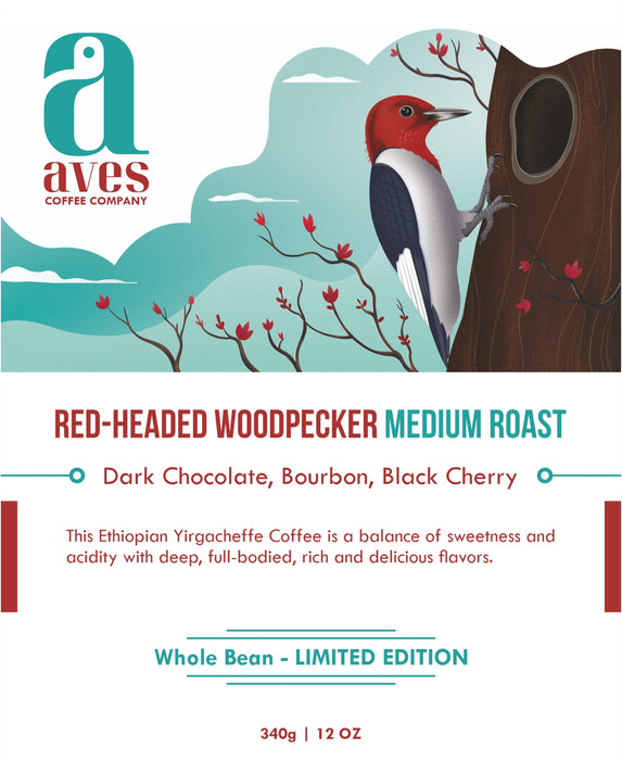 Red-Headed Woodpecker Ethiopia Medium Roast