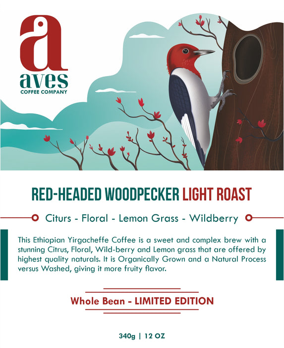 Red-Headed Woodpecker Ethiopia Light Roast