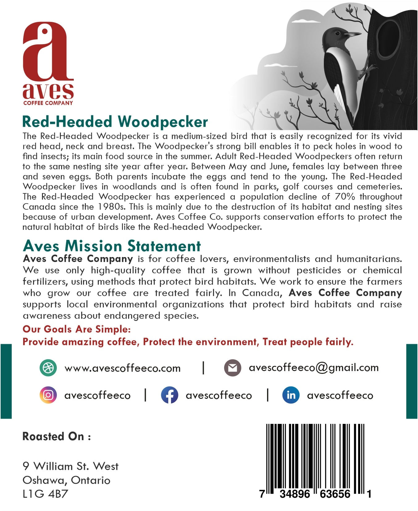 Red-Headed Woodpecker Ethiopia Light Roast